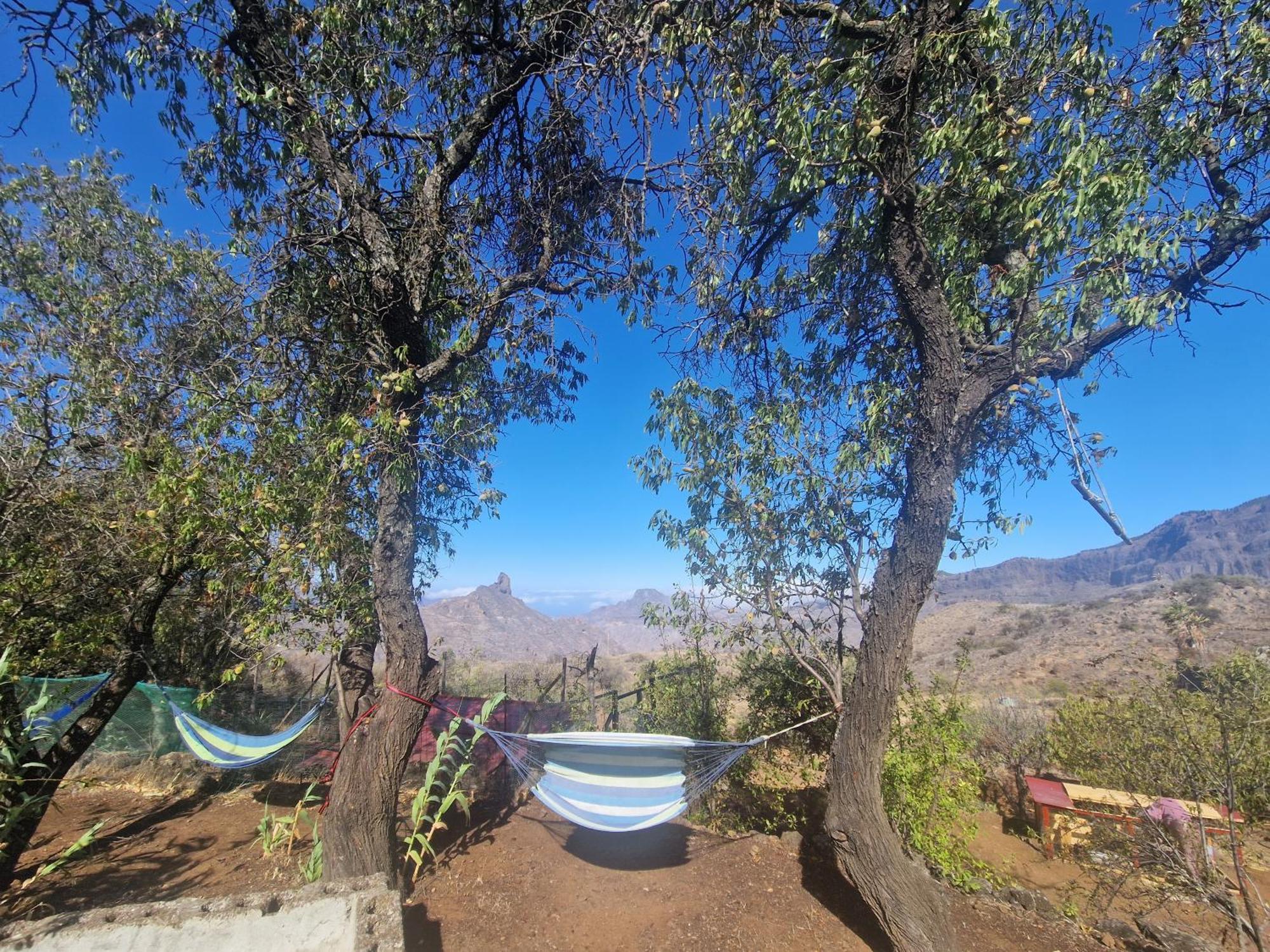 Finca La Isa By Rose Casas Rural Tejeda  Buitenkant foto